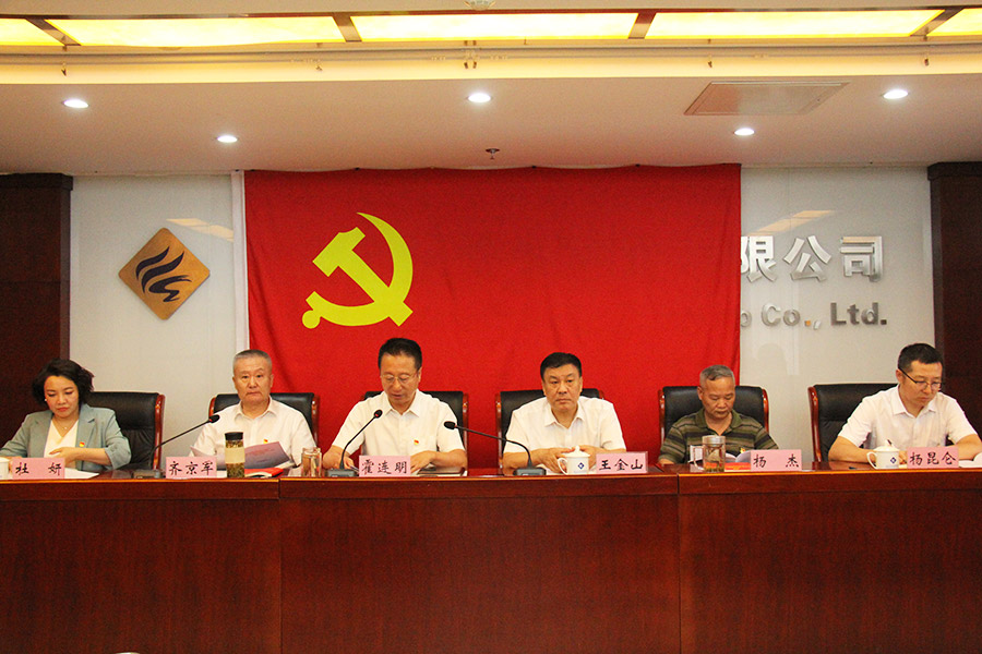lejing.com党委召开学习贯彻习近平新时代中国特色社会主义思想主题教育总结会